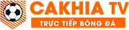 học tennis